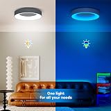 Matane 24W RGB LED Ceiling Light with Remote 3000K-6500K 2400LM Grey view 5