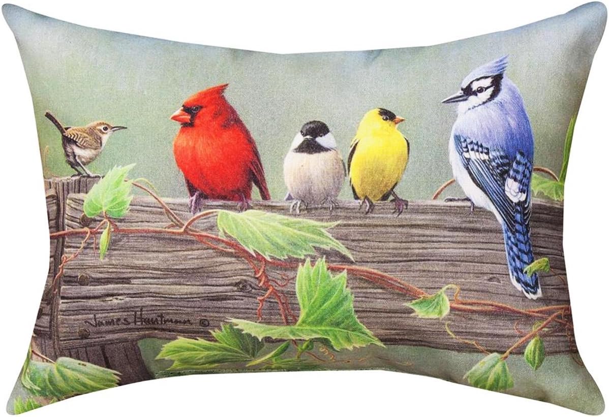 Amazon Com Pillows Feathered Friends 1 Pillow 18 X 13