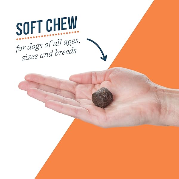 SYNOVI G4 DOG JOINT SUPPLEMENT CHEWS, 240-COUNT