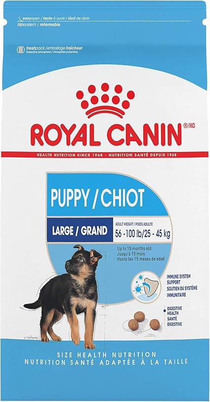 royal canin shn maxi puppy