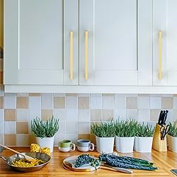 Asidrama 10 Pack 5 Inch(128mm) Brushed Gold Kitchen