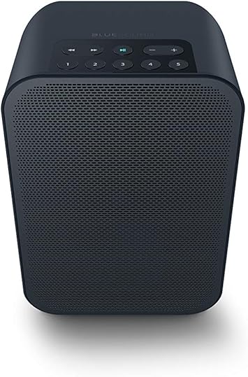 bluesound outdoor speaker
