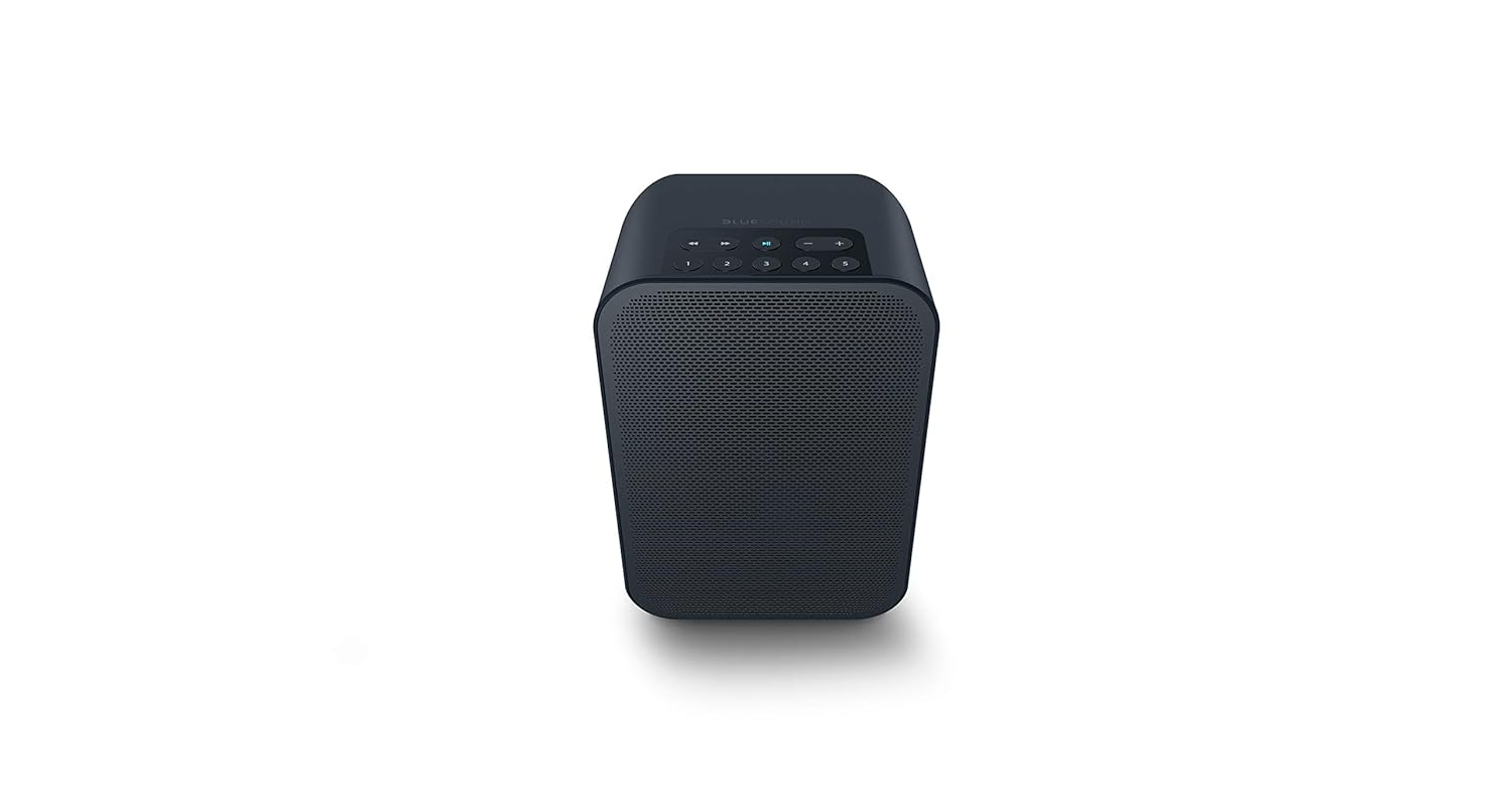 Bluesound Pulse Flex 2i