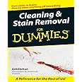 Cleaning and Stain Removal for Dummies