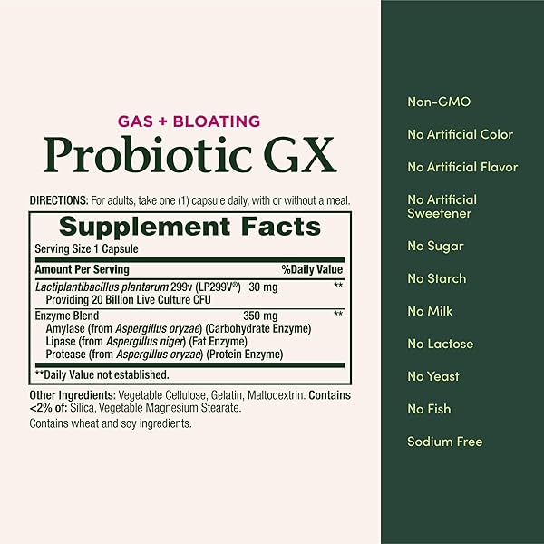 NATURE’S BOUNTY PROBIOTIC GX, HELPS WITH OCCASIONAL GAS AND BLOATING, DIETARY SUPPLEMENT, DIGESTIVE HEALTH, 25 CAPSULES