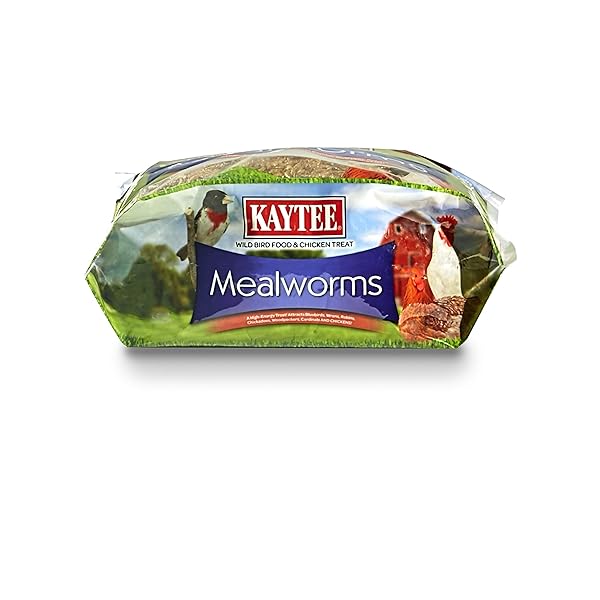 KAYTEE WILD BIRD FOOD MEALWORMS FOR BLUEBIRDS, WRENS, ROBINS, CHICKADEES, WOODPECKERS, CARDINALS & CHICKENS, 2 POUND
