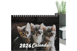 2026 Calendar – Cat Wall Planner Organizer, Monthly Hanging Schedule | Twelve Month Layout with Large Date Boxes Thick Paper 