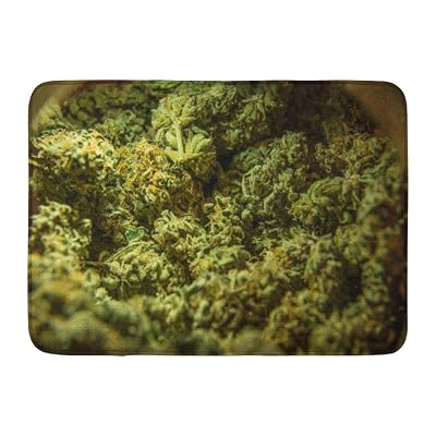 Panama | Ubuy