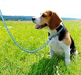 TagME Slip Lead for Dogs 1.8m Reflective Padded Handle Training Leash Blue view 6