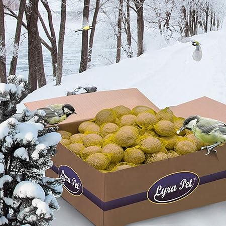 Lyra Pet 200 x 90 g Meisenknödel mit Netz 4 Jahreszeitenknödel Wildvogelfutter
