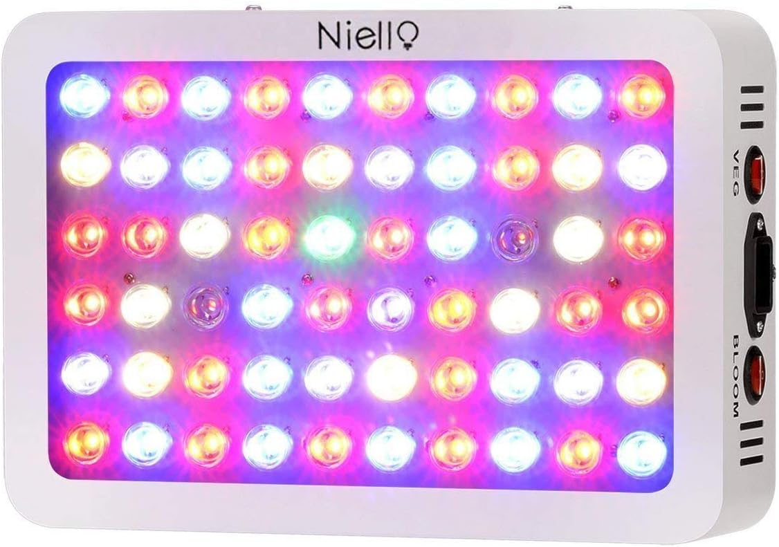 luce a spettro completo per gli uccelli