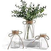 Vintage Glass Vases for Flowers, Set of 3 Clear Vases for Farmhouse Wedding Centerpiece Cylinder Bottle for Reception Table Decor Housewarming Birthday Floral Arrangements (S+M+L)
