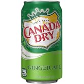 Canada Dry Ginger Ale, 12 fl oz