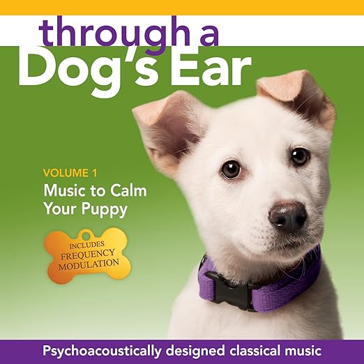 through a dog's ear spotify