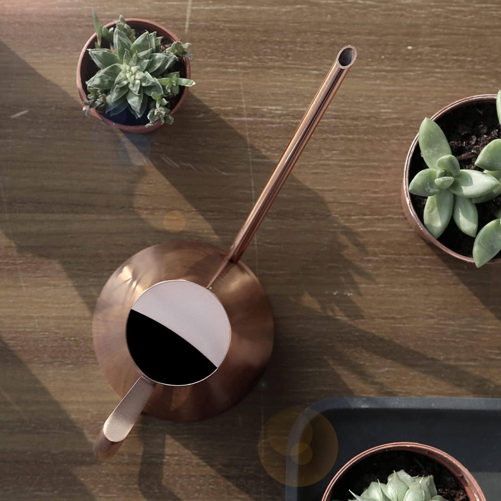 Long Spout Watering Pot Stainless Steel Watering Can Modern Style Bronze Indoor Plants Flower Watering Can Pot Gardening Tool for Succulent