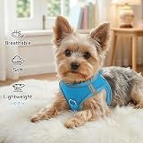 Joytale Step in Dog Harness Soft Mesh Reflective Easy Walk Harness Sky Blue view 4