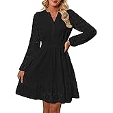 Women's Long Puff Sleeve Floral Mini Dress Spring V Neck Hollow Out Eyelet Lace Embroidery Ruffle A Line Swing Short Dresses