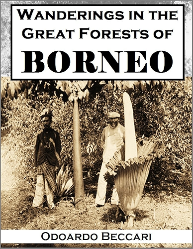 Download Wanderings in the Great Forests of Borneo: Travels and Researches of a Naturalist in Sarawak (English Edition) PDF
