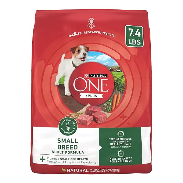 PURINA ONE PLUS SMALL BREED LAMB AND RICE FORMULA DRY DOG FOOD – 7.4 LB. BAG