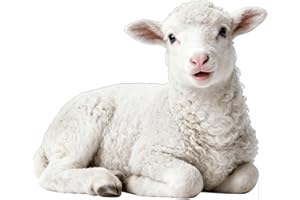 DP BOUTIQUE Nativity Lamb 2FT Life Size Cardboard Cutout, Animal Photo Prop for Xmas, Holy Family Christian Party & VBS Supplies, Christmas Nativity Scene Decoration, Safari Theme Standup, 1 PC