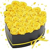 VEVOR Forever Flowers, 27 Preserved Roses in a Heart Shape Box, Eternal Flowers Immortal Bouquet Birthday Present for Women Her Wife Mothers, Anniversary, Valentine's Day,Christmas, Yellow