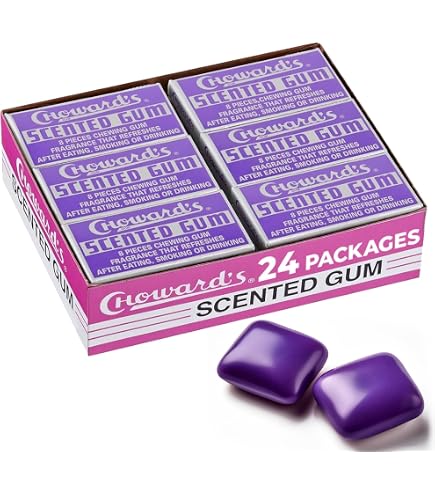 Amazon.com : Clorets Mint Flavored Gum 60 Pack : Grocery & Gourmet
