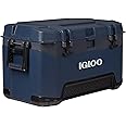 Igloo BMX Hard Coolers (25-72QT)