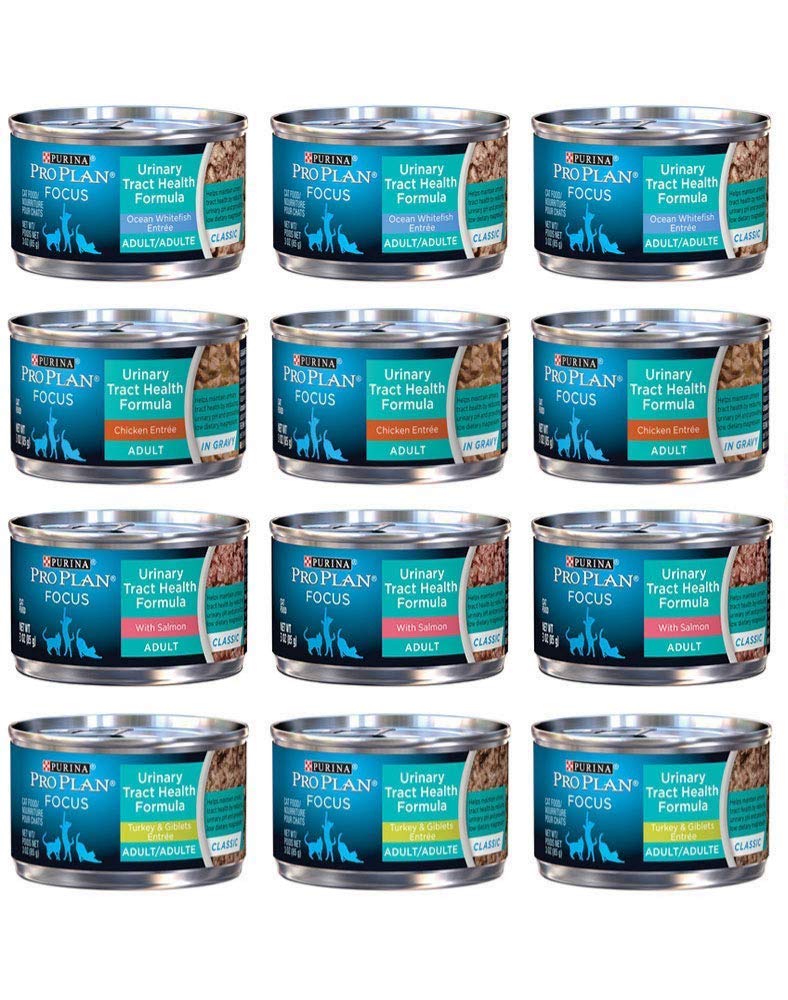 Buy Purina Pro Plan Focus Wet Cat Food Urinary Tract (Uth) Variety Pack