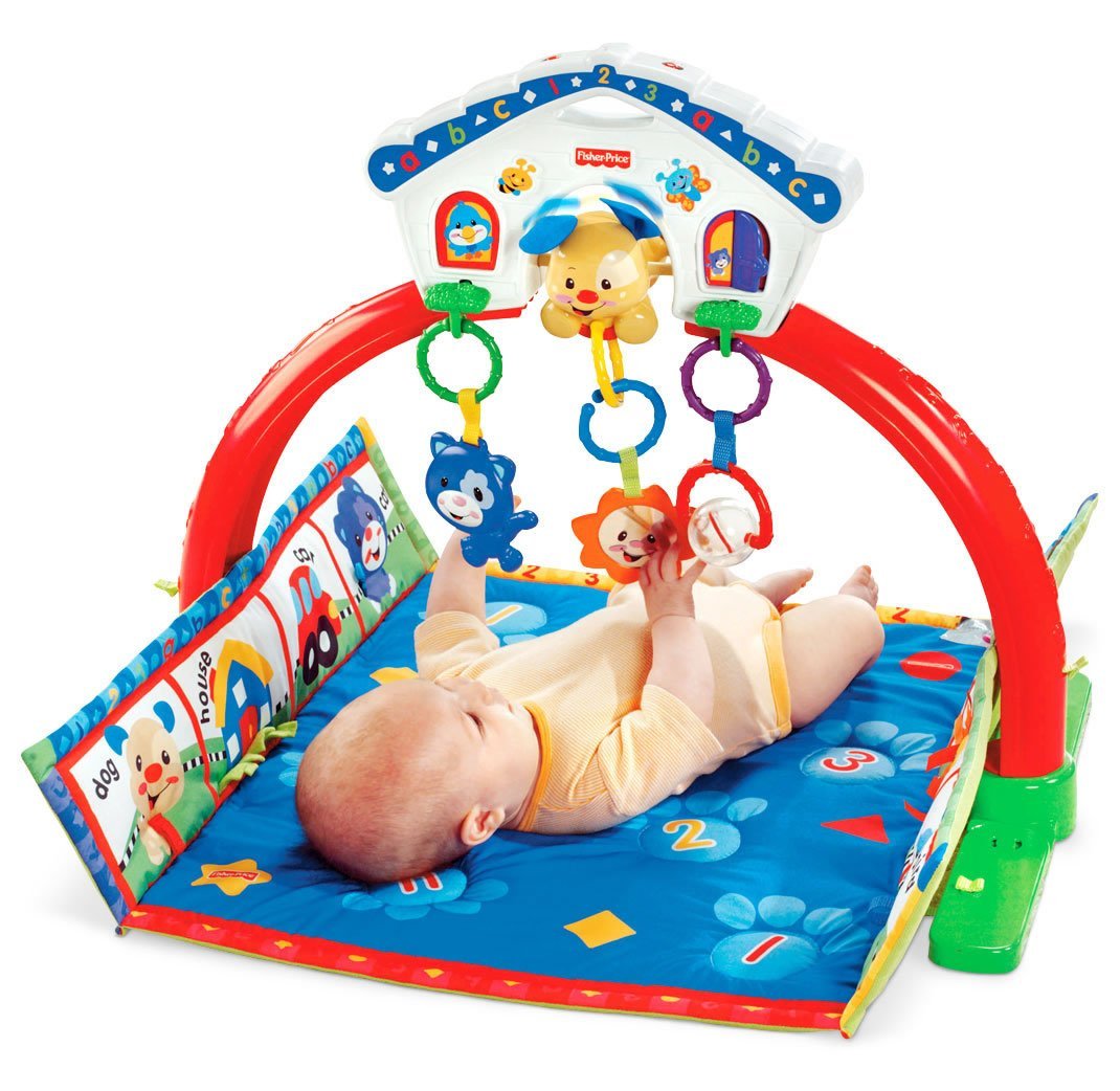 fisher price puppy play mat