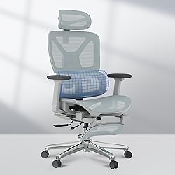 FLEXISPOT ErgoX Premium Ergonomic Office Chair with