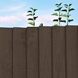 Cuprinol Ducksback 5 Year Waterproof Forest Oak 5 L Shed Fence Paint view 9
