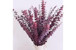 GLICRILI 16 Pcs Dried Fall Eucalyptus Stems Red, Christmas Burgundy Dried Flowers for Vase, Home Decor, Real Eucalyptus Orange Brown, Eucalyptus Plant, 17" Fall Floral Stems Decorations Arrangement
