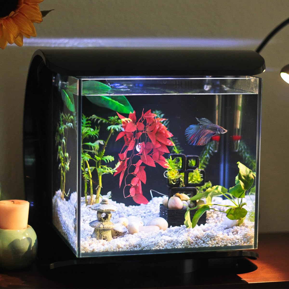 View 9
