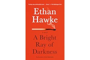 A Bright Ray of Darkness: A novel