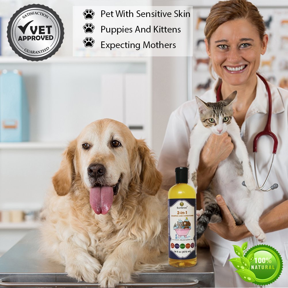 SunGrow Vet Trusted 2-in-1 100% Organic, Medicinal Pet Shampoo Plus Conditioner for Cats/Dogs, Deodorizes, Moisturizes and Improves Coat/Fur Enriched with Aloe Vera/Coconut