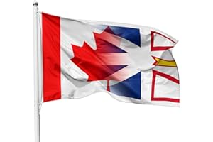 3x5 Ft Flag Of Newfoundland Labrador Canada Durable Polyester Banner Indoor/Outdoor 3x5 Feet