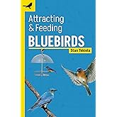Attracting & Feeding Bluebirds (Backyard Bird Feeding Guides)