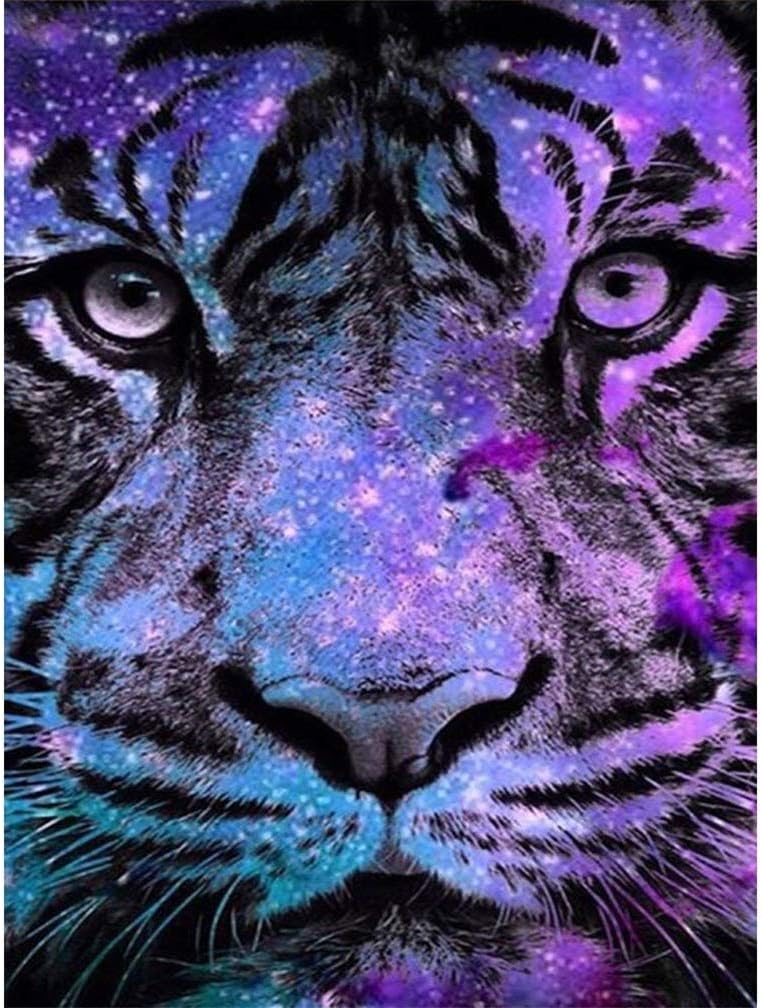 5D Diamond Painting Full Drill,Fairy Queen on The Flower 5D DIY Diamond Painting by Number Kits Full Drill Rhinestone Pasted Embroidery Home Decor,Cross Stitch Stamped Kits (X263)