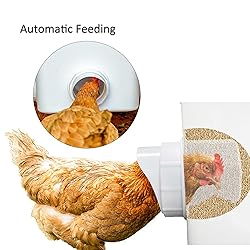 Automatic Chicken Feeder Set Hanging Chicken Feeder