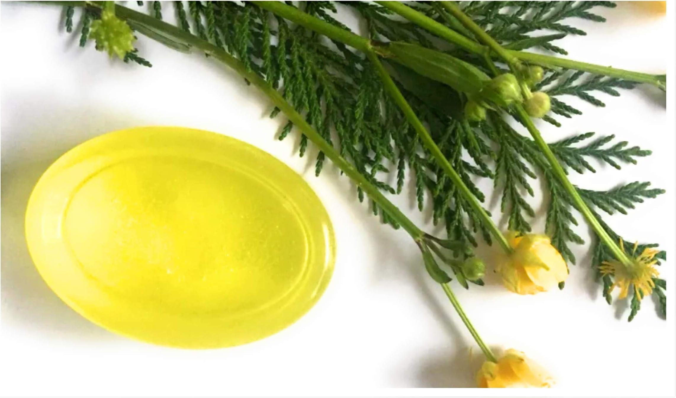 Leeds Soap Opera Lemon and Tea Tree Shampoo Bar. Hand made and in Biodegradable cello wrap. Vegan friendly and cruelty free