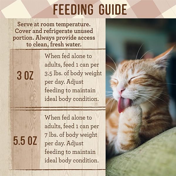 MERRICK PURRFECT BISTRO GRAIN FREE WET CAT FOOD RABBIT RECIPE PATE – (PACK OF 24) 3 OZ. CANS