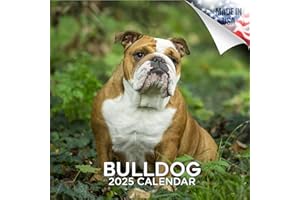 MEGACALENDARS 2024 2025 Bulldog Calendar - Dog Breed Monthly Wall Calendar - 12 x 24 Open - Thick No-Bleed Paper - Giftable - Academic Teacher's Planner Calendar Organizing & Planning - Made in USA