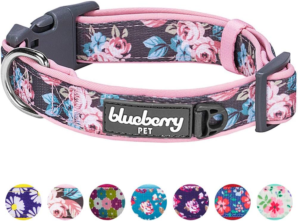 Blueberry Pet 7 Patterns Soft & Comfy Rose Flower Prints Girly Padded Adjustable Dog Collar, Large, Neck 18"-26" : Pet Supplies