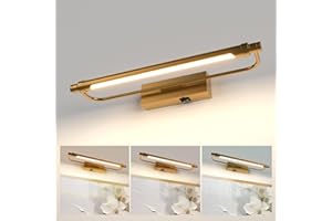 ZitoStory Battery Operated Picture Light with Remote,Wireless Dimmable Art Lights for Paintings Rechargeable Gallery Light Artwork Lighting for Canvas, Portrait (Gold,16'' Inch)