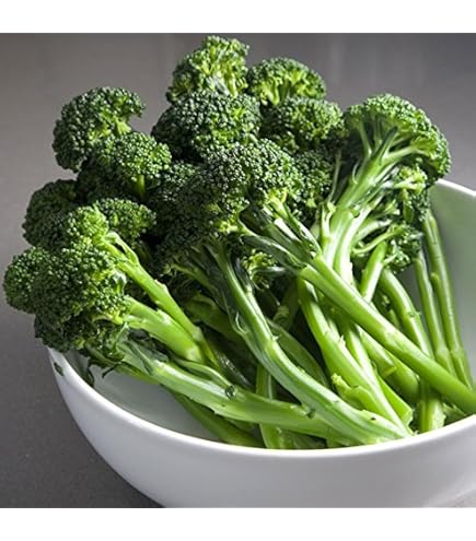 Amazon.com : Artwork Hybrid Broccoli Seeds (100) : Patio, Lawn