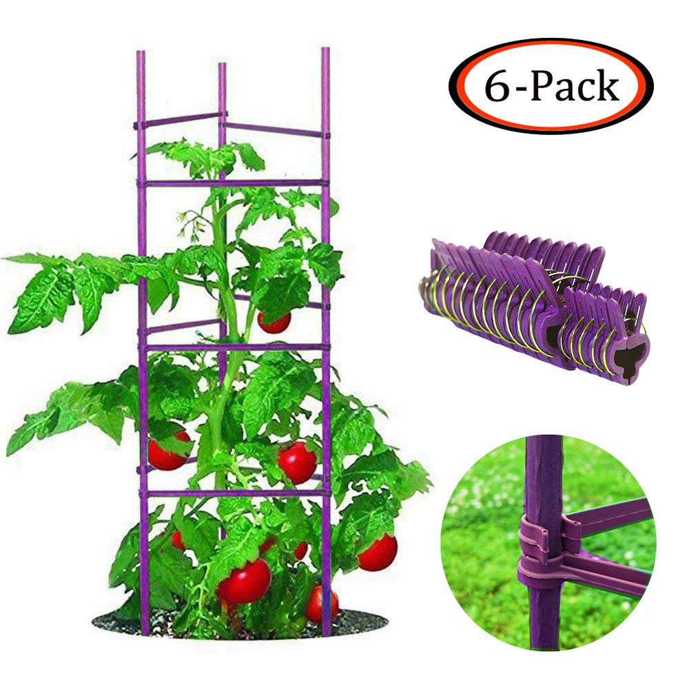 Best Building Cages And Trellises For Gardening