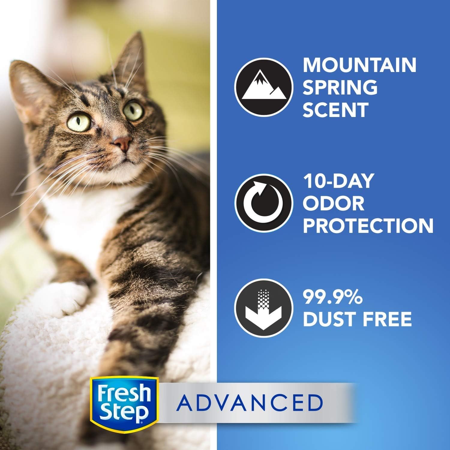 Fresh Step Advanced Clumping Litter : Pet Supplies