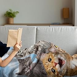 Ambesonne Kitty Throw Blanket, Kitten Cat's