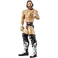 WWE Daniel Bryan Action Figure