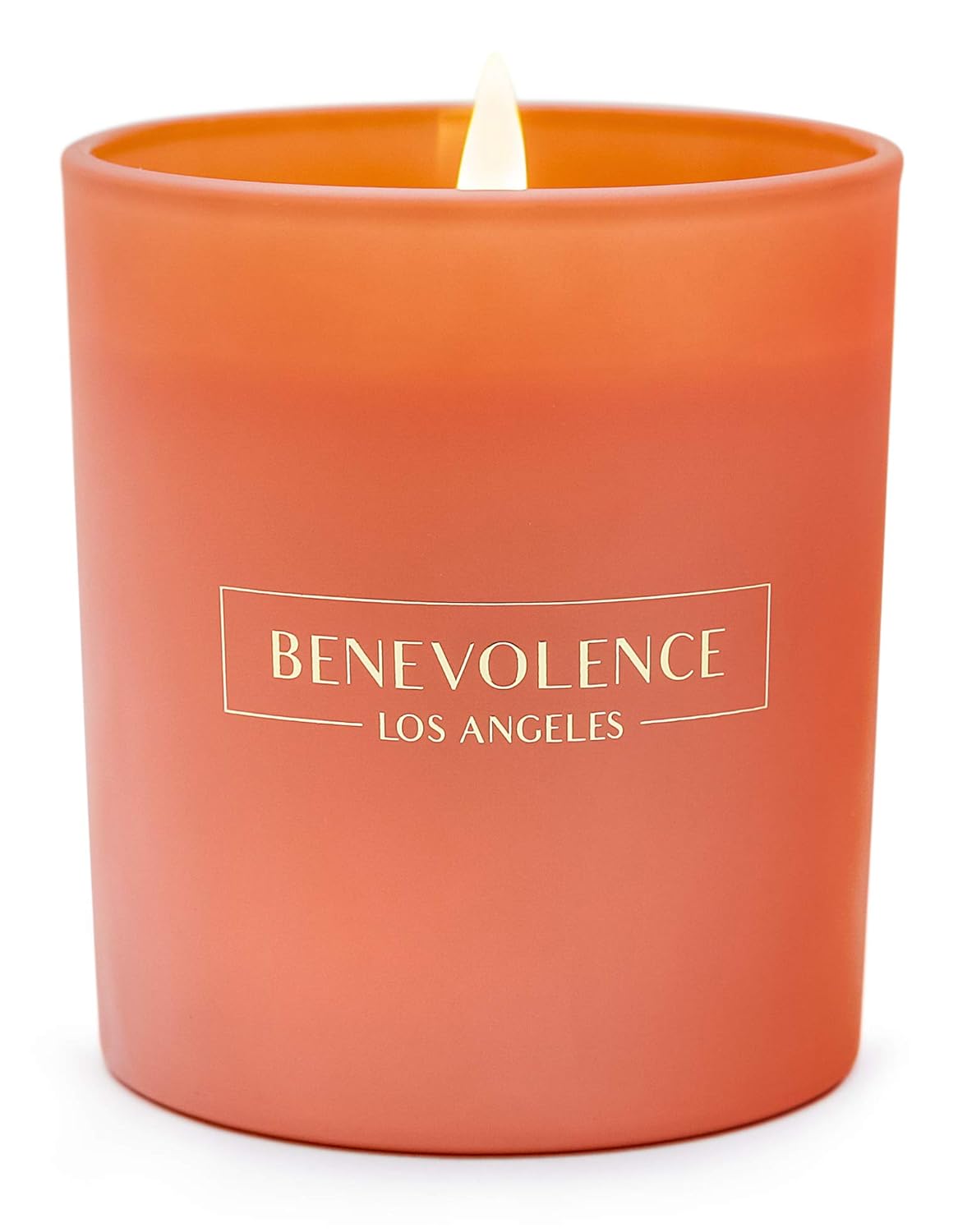 The 10 Best Citrus Sorbet Fragrance Soy Candles